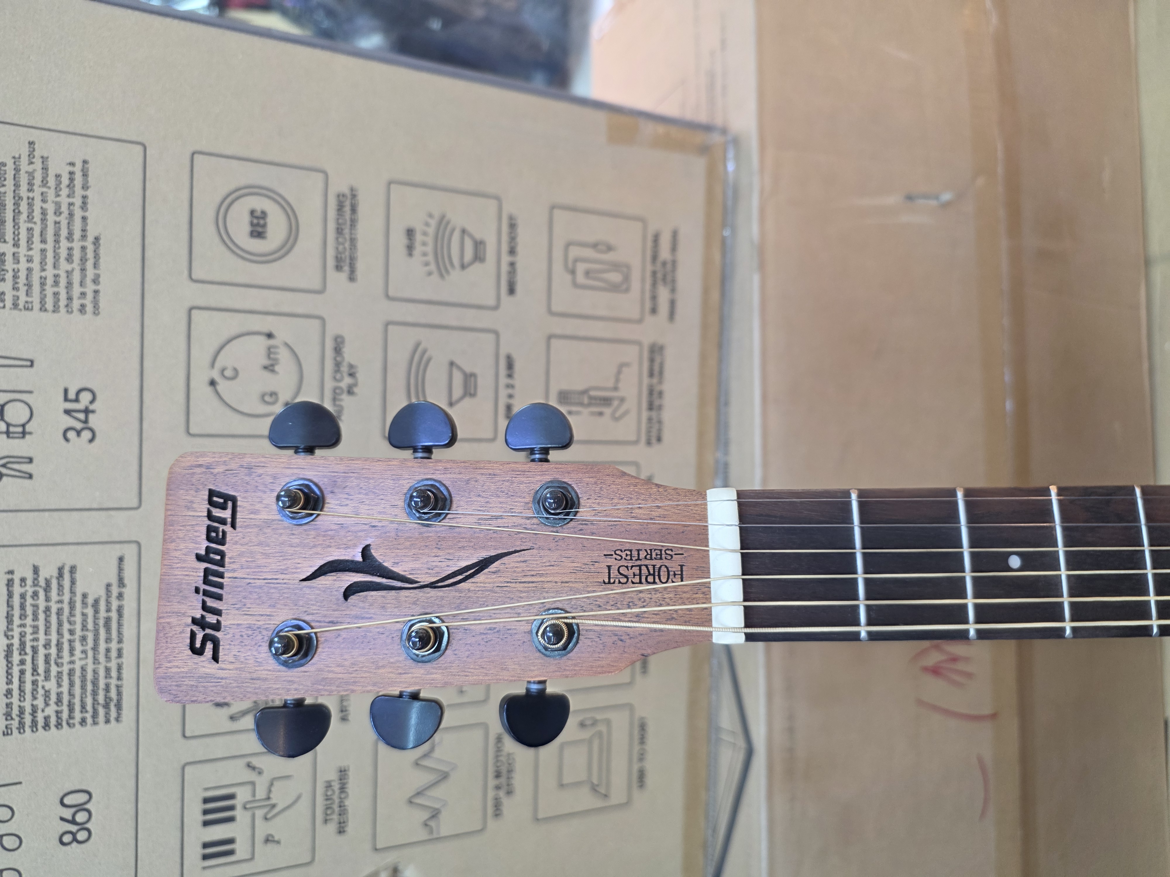 Strinberg FS4D Acoustic Guitar w/ Pickup